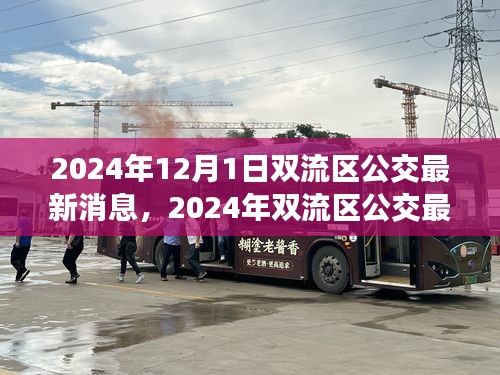 2024年雙流區(qū)公交最新消息詳解，獲取與使用公交服務(wù)的全面指南