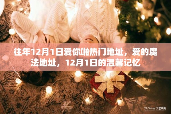 12月1日的愛(ài)的魔法與溫馨記憶