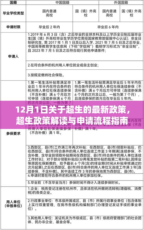 超生政策解讀與申請(qǐng)流程指南，最新政策解讀適用于初學(xué)者與進(jìn)階用戶