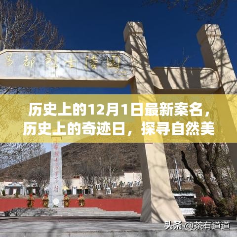 探尋奇跡日，歷史上的自然美景之旅與寧靜革命之路的探尋