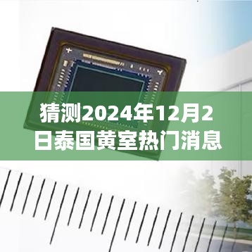 泰國黃室風(fēng)云揭秘，學(xué)習(xí)變革與夢想實現(xiàn)，2024年12月2日的輝煌展望