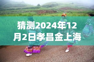 孝昌金上海2024年12月2日探尋自然秘境，旅行熱潮預測，奇妙之旅即將啟程