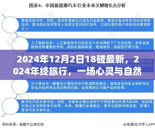 心靈與自然的碰撞，2024年終旅行記