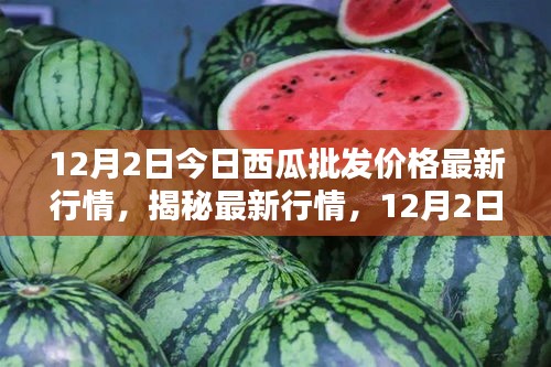 揭秘最新行情，深度解析12月2日西瓜批發(fā)價格走勢及最新行情