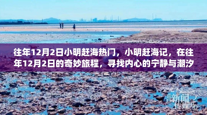 小明趕海記，尋找潮汐之聲與內(nèi)心的寧?kù)o之旅