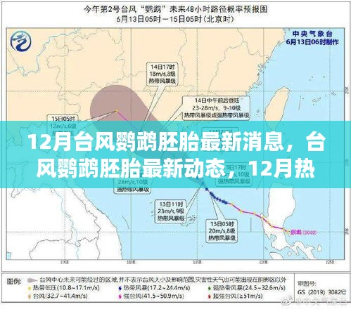 臺風(fēng)鸚鵡胚胎最新消息，12月熱帶風(fēng)暴孕育與影響回顧