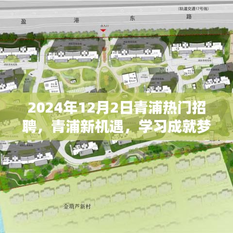 2024年12月2日青浦熱門招聘啟幕，新機(jī)遇助力學(xué)習(xí)成就夢(mèng)想