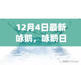 12月4日鵝群趣事與友情盛宴，日常詠鵝新篇章