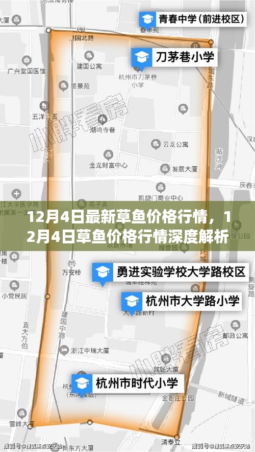 12月4日草魚價格行情解析，市場走勢、影響因素及選購指南