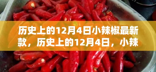 歷史上的小辣椒最新款誕生與影響，揭秘12月4日的獨(dú)特意義