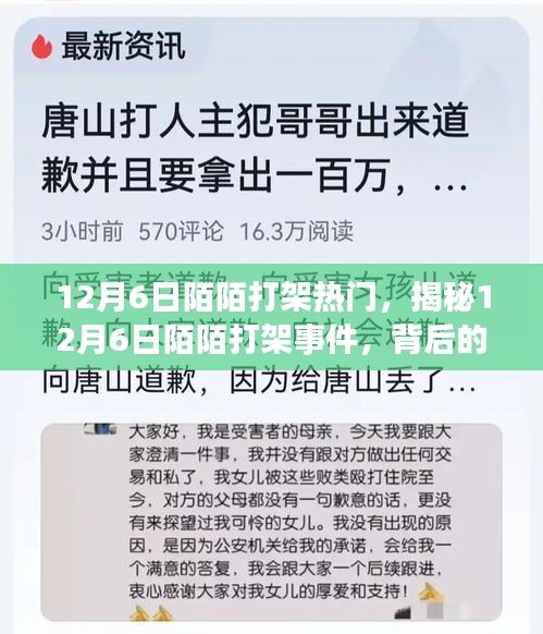 揭秘，12月6日陌陌打架事件背后的原因與影響熱議風(fēng)潮