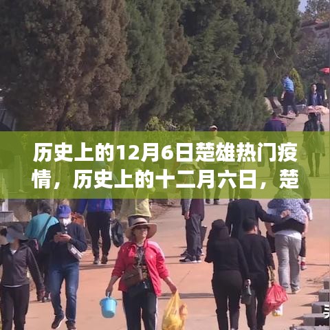 歷史上的十二月六日，楚雄疫情風(fēng)云變遷回顧