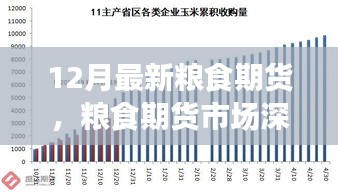 聚焦糧食期貨市場(chǎng)深度洞察，十二月最新動(dòng)態(tài)與市場(chǎng)趨勢(shì)