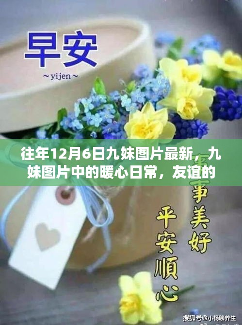 往年12月6日九妹圖片回顧，暖心日常與友誼的溫馨回憶