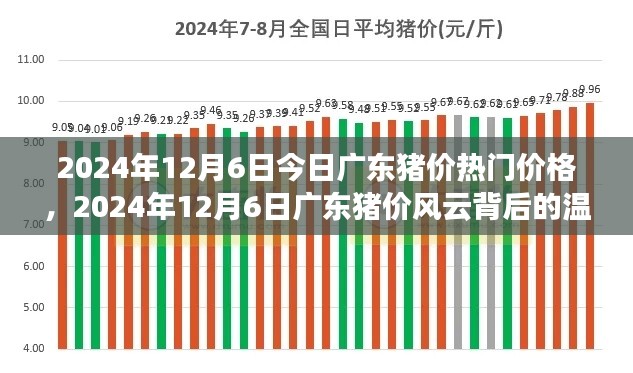 廣東豬價(jià)風(fēng)云背后的溫情故事，最新價(jià)格動態(tài)與深度解讀