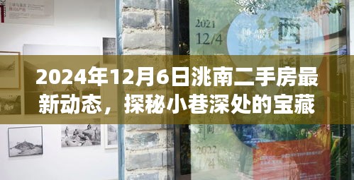 探秘洮南小巷寶藏，揭秘二手房市場最新動態(tài)與獨特小店的奇遇記（最新資訊，2024年12月6日）