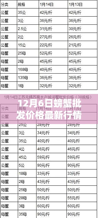 12月6日螃蟹批發(fā)價格最新行情，12月6日螃蟹批發(fā)價格最新行情詳解，入門指南與關(guān)鍵步驟