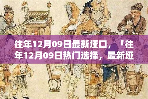 往年12月09日最新埡口產(chǎn)品評(píng)測(cè)與介紹，熱門(mén)選擇詳解