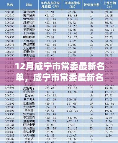 12月咸寧市常委最新名單，咸寧市常委最新名單科技新品亮相，智能時代，革新未來體驗