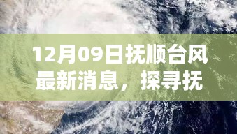 撫順臺風日下的隱秘小巷與風味小店探秘記（最新消息）