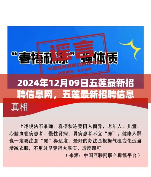 五蓮最新招聘信息網(wǎng)使用指南（初學(xué)者與進(jìn)階用戶適用，發(fā)布日期，2024年12月9日）