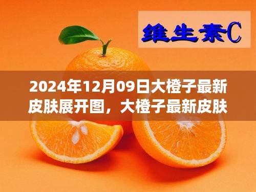 大橙子最新皮膚展開(kāi)圖評(píng)測(cè)與介紹，2024年12月09日獨(dú)家報(bào)道