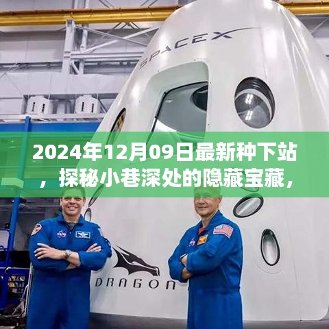 探秘最新種下站，小巷深處的隱藏寶藏與特色小店推薦（2024年12月09日）