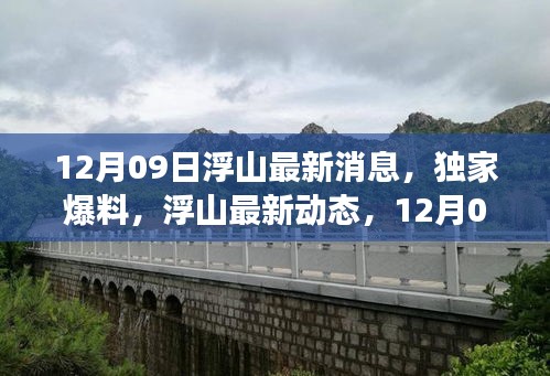 12月09日浮山獨(dú)家爆料，最新動態(tài)與震撼更新