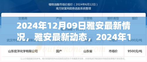 雅安最新動(dòng)態(tài)深度觀察，2024年12月09日最新情況報(bào)告