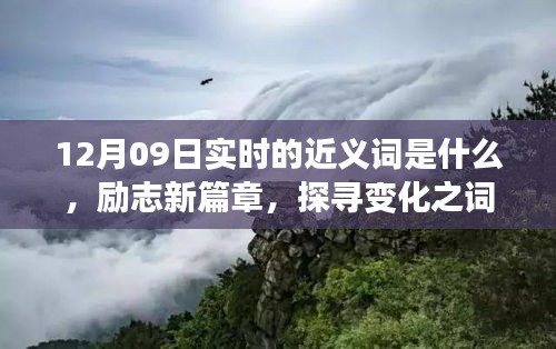 12月09日實(shí)時(shí)近義詞探索與勵(lì)志新篇章，探尋詞匯魔力，學(xué)習(xí)鑄就自信成就之橋