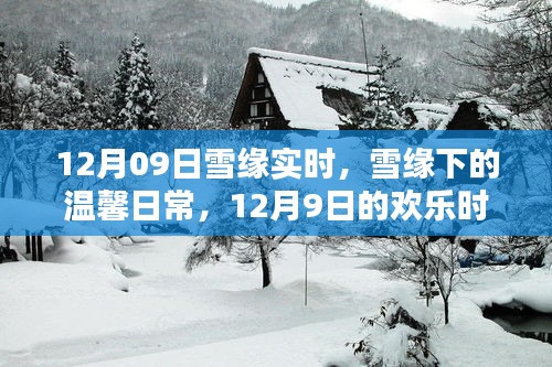 雪緣下的溫馨日常，12月9日的歡樂(lè)時(shí)光