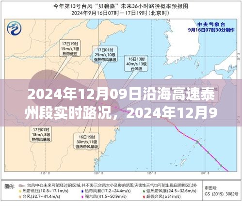 沿海高速泰州段實時路況分析與觀點分享，擁堵狀況下的多方視角