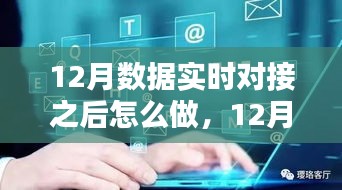 12月數(shù)據(jù)實(shí)時對接后的策略指南，多方考量與行動步驟