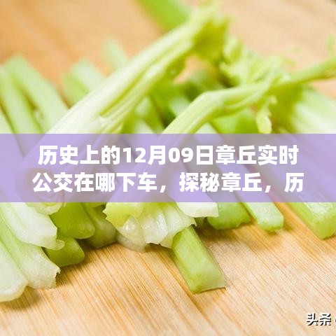 探秘章丘，歷史深處的公交軌跡與小巷美食寶藏——12月9日實(shí)時(shí)公交指南