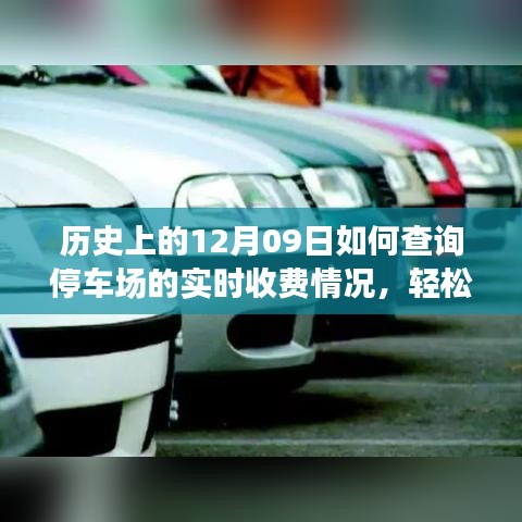 如何查詢(xún)停車(chē)場(chǎng)實(shí)時(shí)收費(fèi)情況？詳細(xì)步驟指南（歷史上的12月09日版）