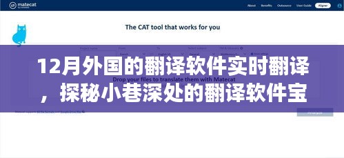 探秘十二月外國實(shí)時(shí)翻譯軟件，小巷深處的翻譯寶藏體驗(yàn)之旅