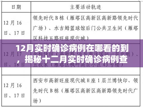 揭秘十二月實(shí)時(shí)確診病例查詢途徑，輕松掌握疫情動(dòng)態(tài)科普知識(shí)