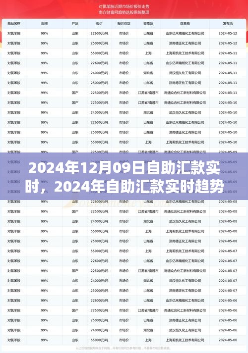 自助匯款實時趨勢下的金融革新，機遇與挑戰(zhàn)并存（2024年12月09日）