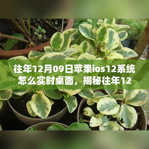 揭秘，蘋果iOS 12系統(tǒng)實時桌面設(shè)置指南（往年12月9日發(fā)布）