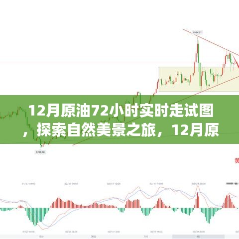 揭秘原油走勢圖背后的故事，探尋自然美景之旅的實時追蹤報告