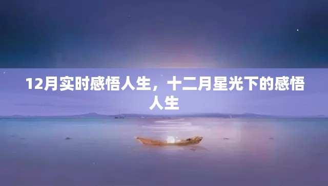 十二月星光下的實(shí)時人生感悟