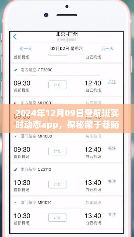 探秘航班實(shí)時動態(tài)小天地，2024年12月9日的奇妙航班查詢之旅