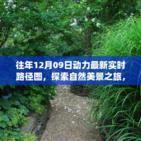 往年12月09日動力路徑圖，自然美景探索之旅的寧靜與和諧體驗