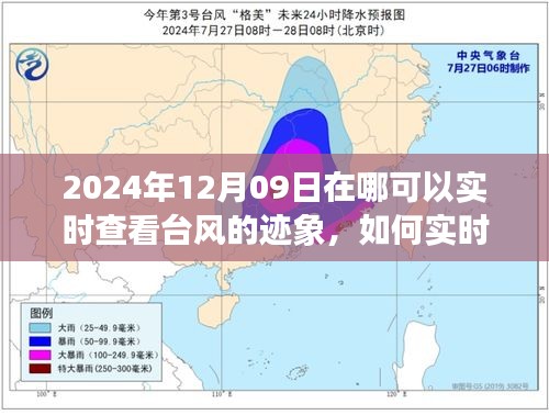 2024年12月09日臺風跡象實時查看指南，全方位教程，適用于初學者與進階用戶