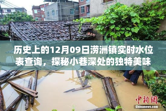 探秘澇洲鎮(zhèn)，歷史水位變遷中的小巷美食記憶——實時水位表查詢與獨特美味探秘