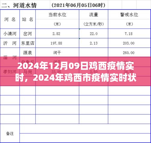 2024年雞西市疫情實(shí)時(shí)狀況深度解析與觀點(diǎn)闡述