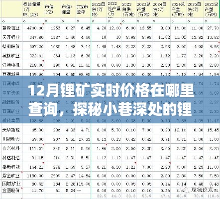 探秘小巷深處的鋰礦寶藏，十二月實時價格一網(wǎng)打盡！