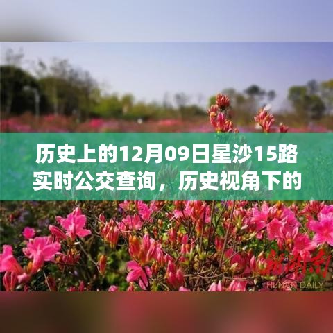 歷史視角下的星沙公交發(fā)展，星沙公交查詢系統(tǒng)深度探討與實(shí)時(shí)公交查詢服務(wù)解析（附，歷史上的星沙公交變遷）