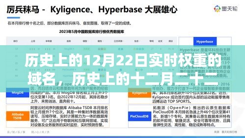 探尋實時權(quán)重域名，歷史上的十二月二十二日回顧與揭秘
