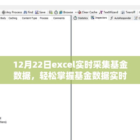 Excel基金數(shù)據(jù)實時采集進階，掌握實時動態(tài)，輕松管理投資組合（12月22日）